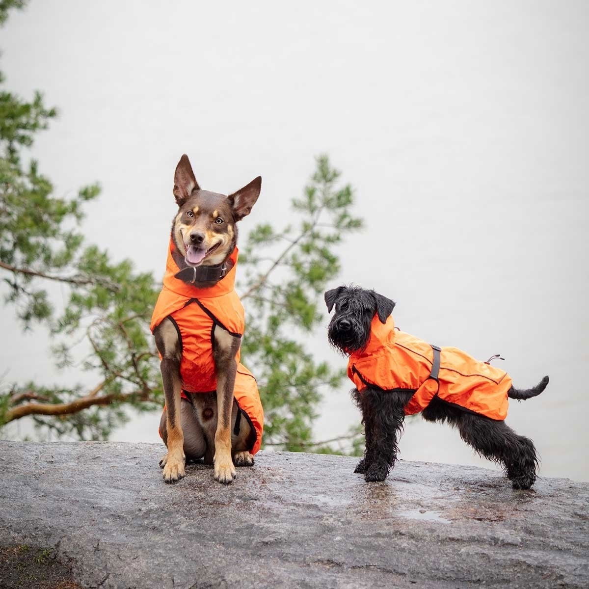 Feel Active Color refl sadetak ora