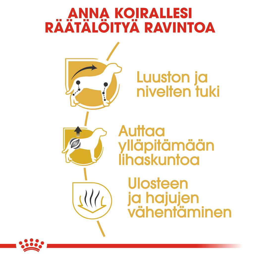 Royal Canin Dachshund Adult koiran kuivaruoka