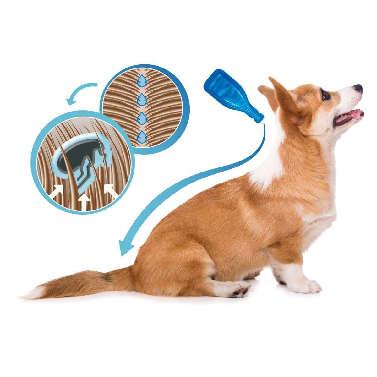 Dimethicare Line-on medium dog (6)