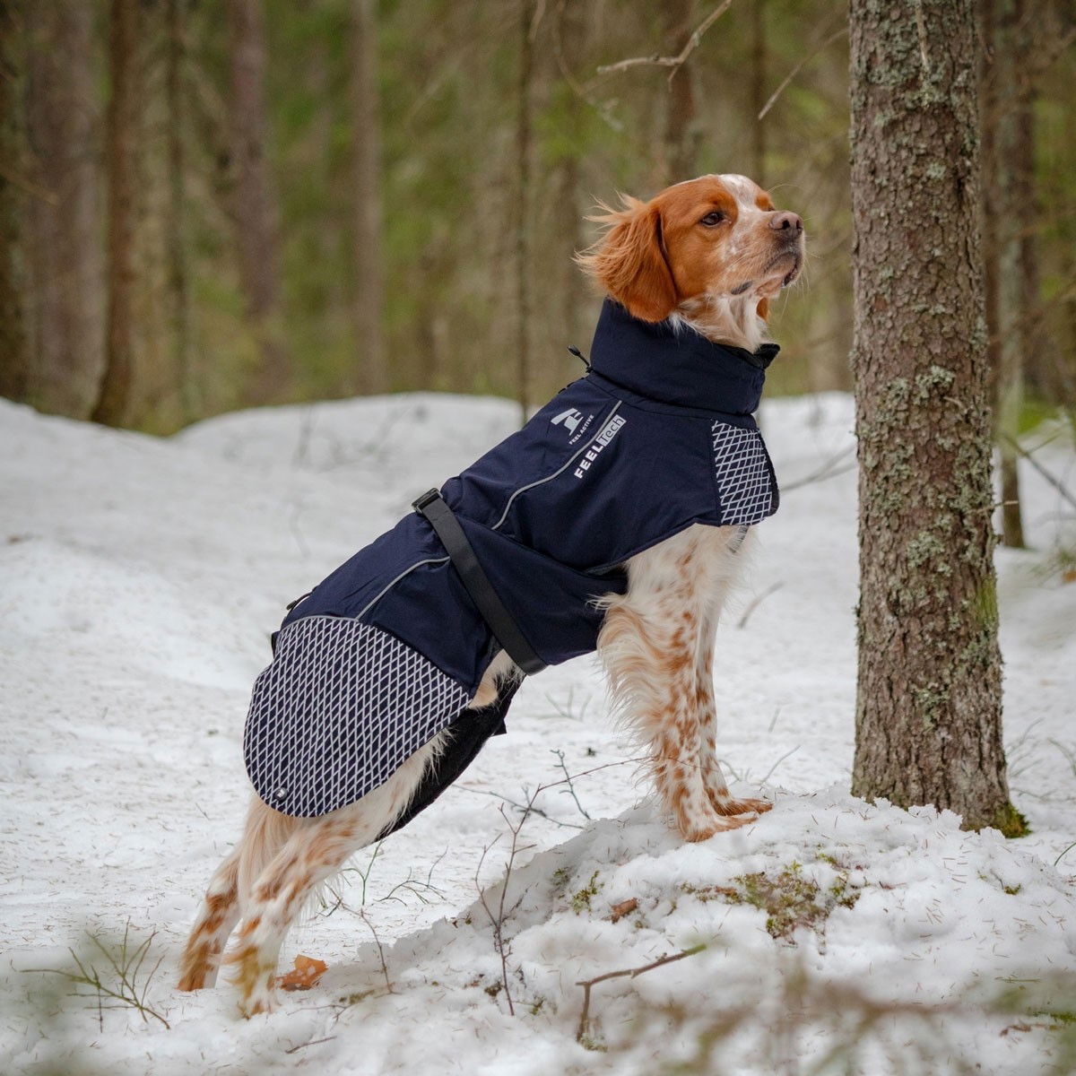 Feel Active Glacier talvi parka