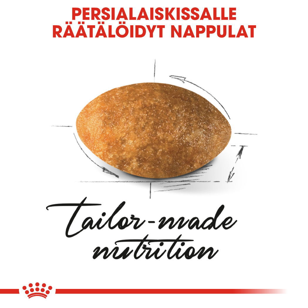 Royal Canin Persian Adult kissan kuivaruoka