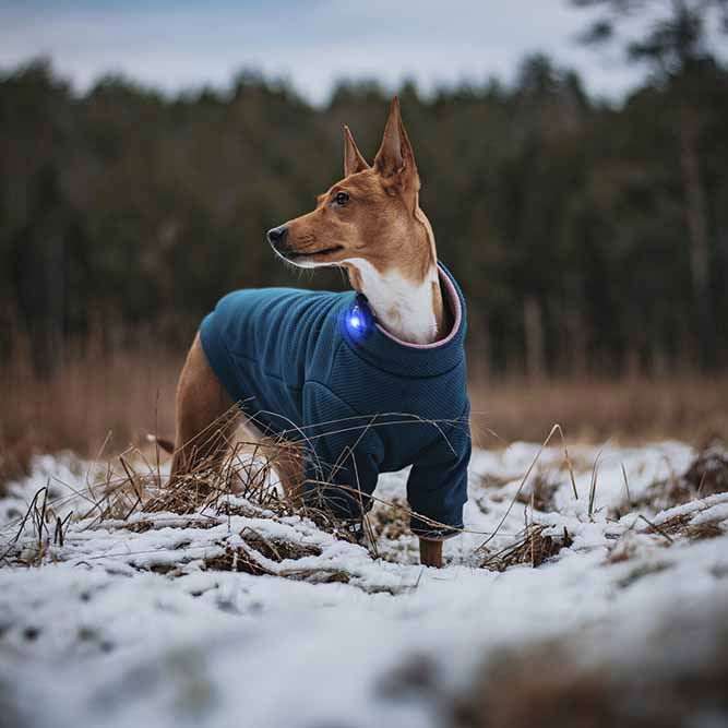 Orbiloc Dual Safety light