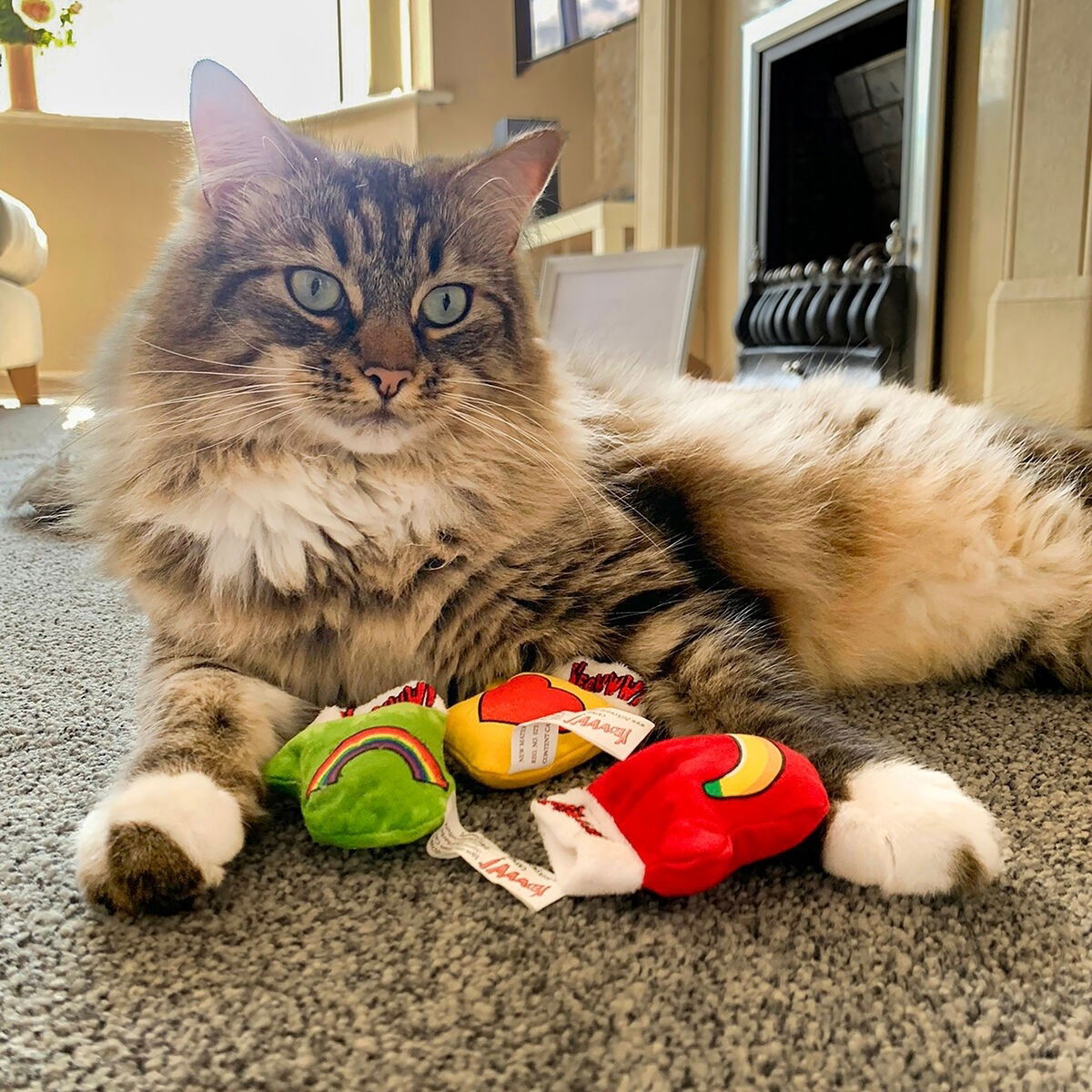 Yeowww 3 Kitten Mittens