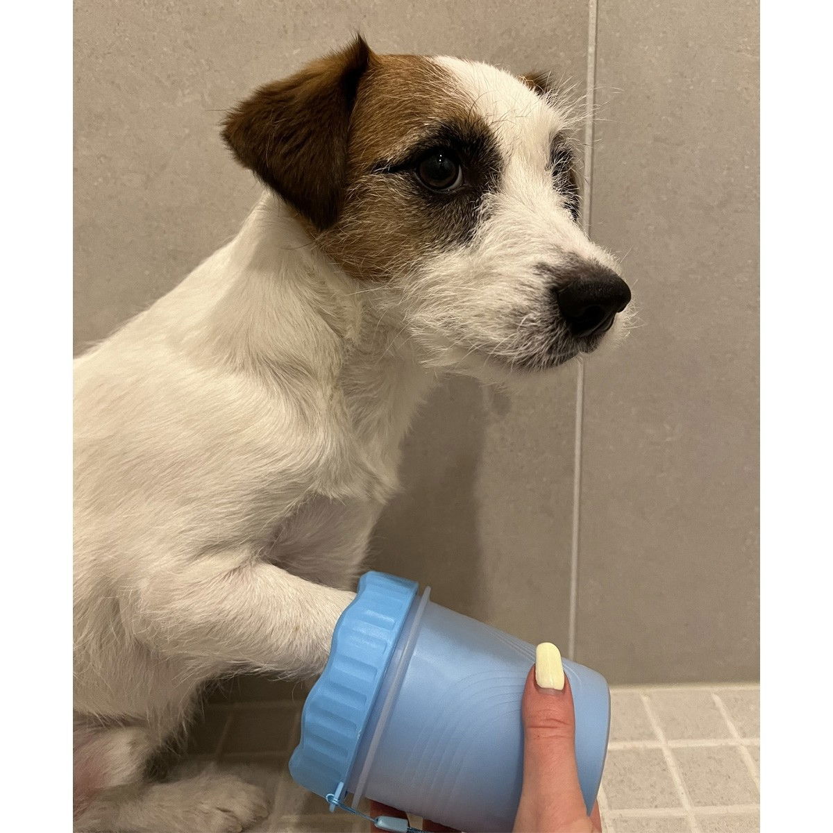 Trixie Paw cleaner, blue