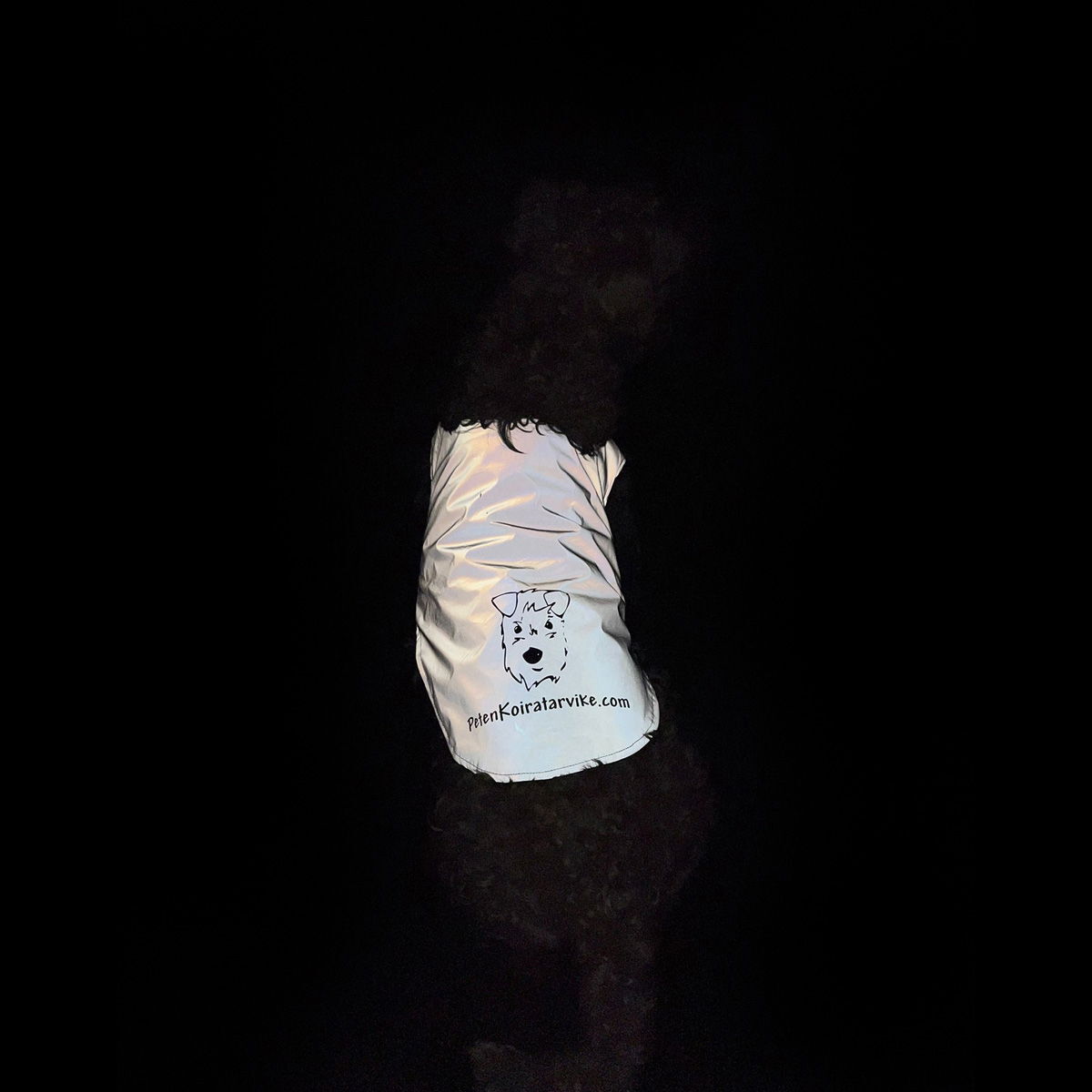 Icepeak Pet Brightly visibility vest Peten