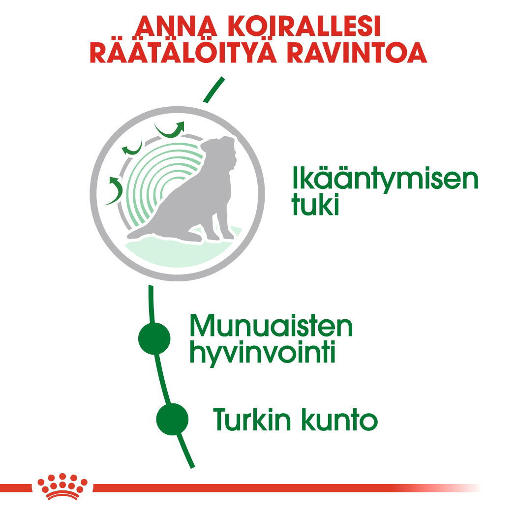 Royal   Canin Mini Ageing 12+ koiran kuivaruoka