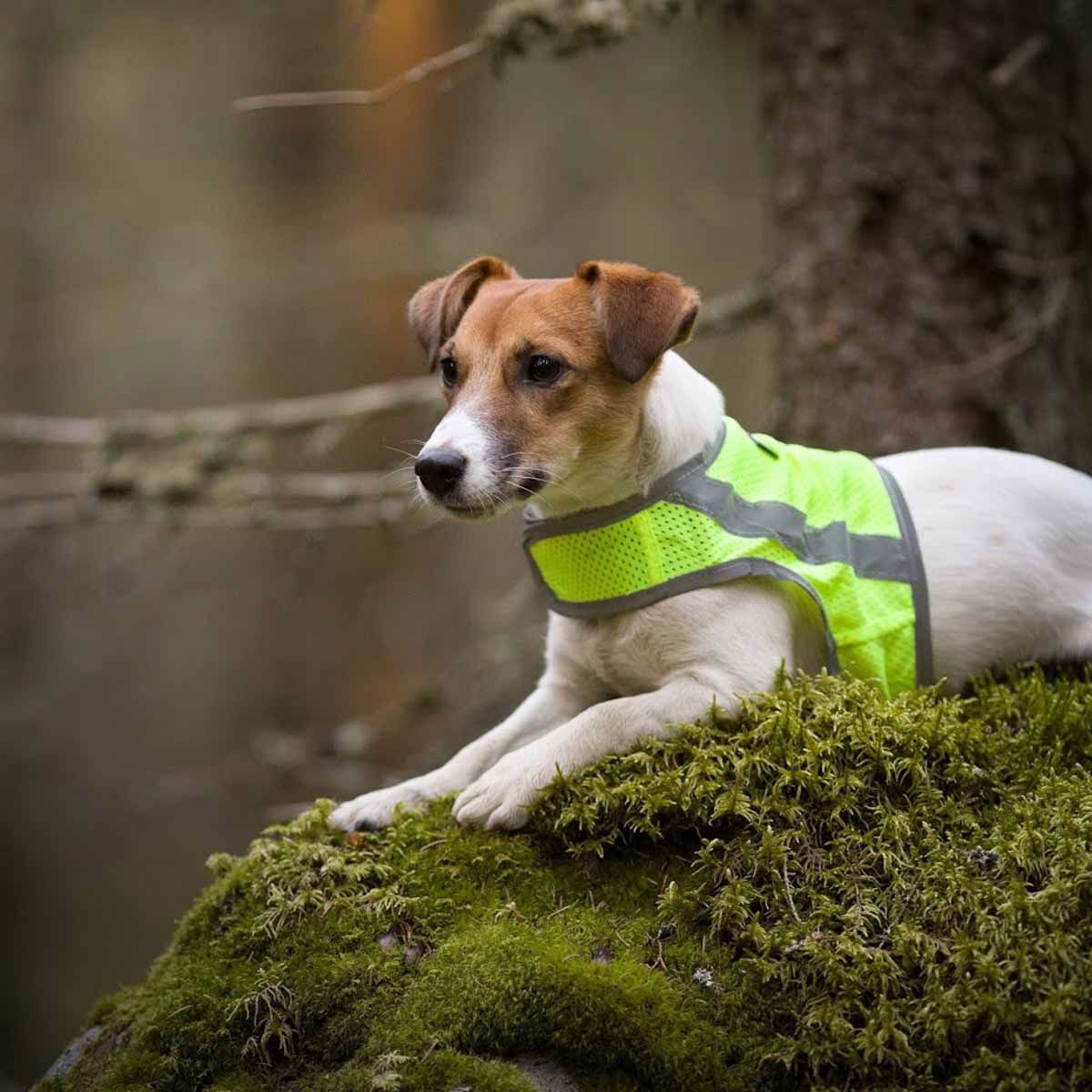 FinNero Atte huomioliivi, keltainen