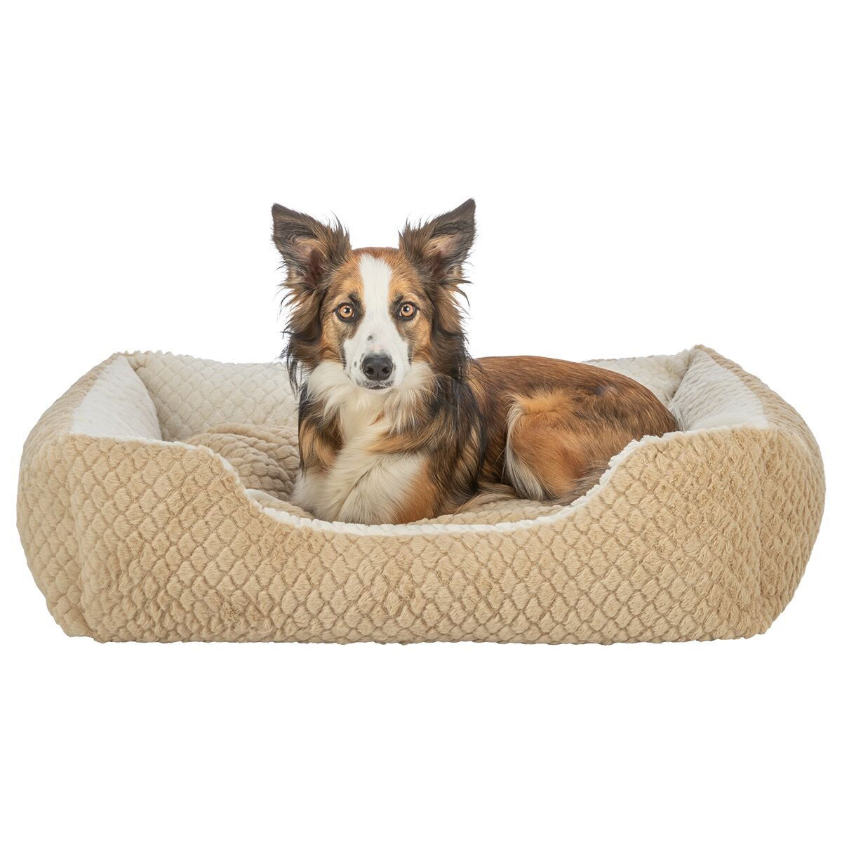 TR Kaline Mio Bed brown/cream