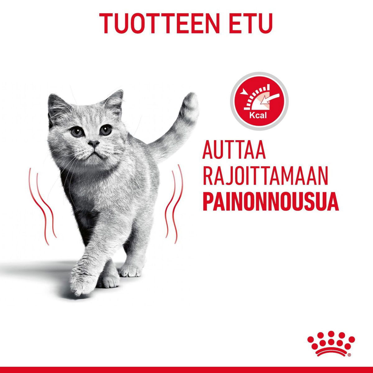 Royal Canin Light Weight Care Gravy Adult kissan märkäruoka