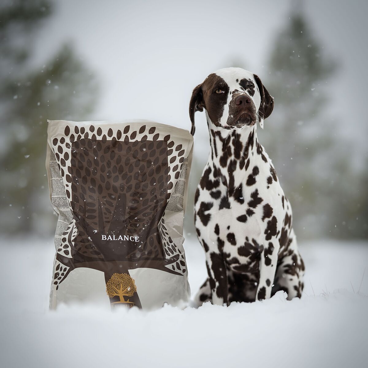 ESSENTIAL BALANCE 10kg