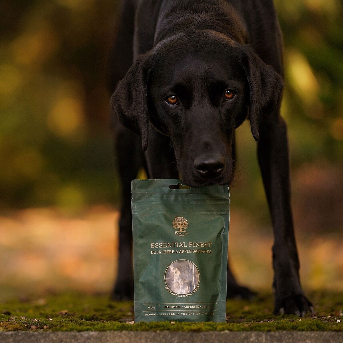 ESSENTIAL Duck,Herb&Apple Saus, 110g