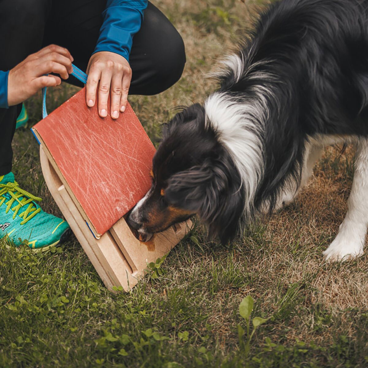 Loype Mani-Pedi Dog Scratcher