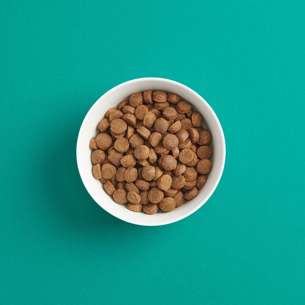 Smaak kana aktiiviselle aikuiselle koiralle