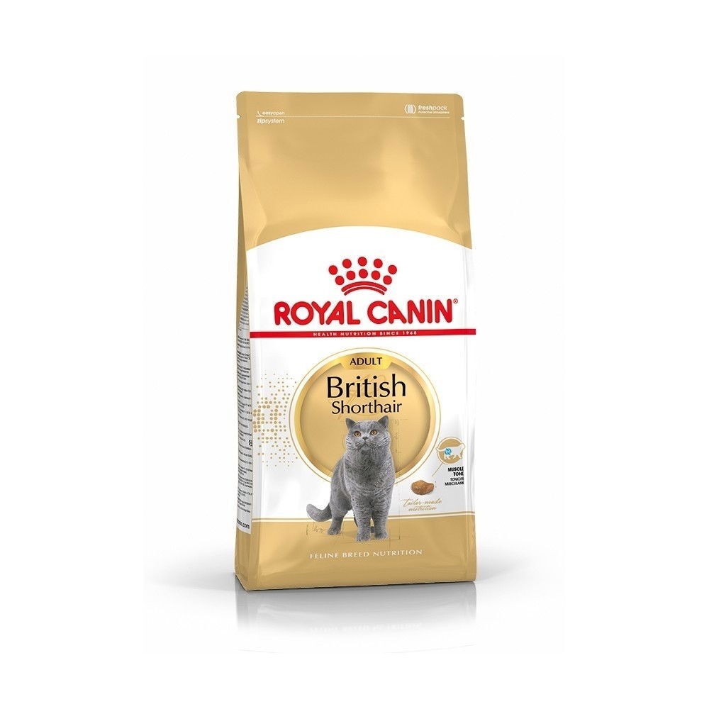Royal Canin British Shorthair Adult kissan kuivaruoka