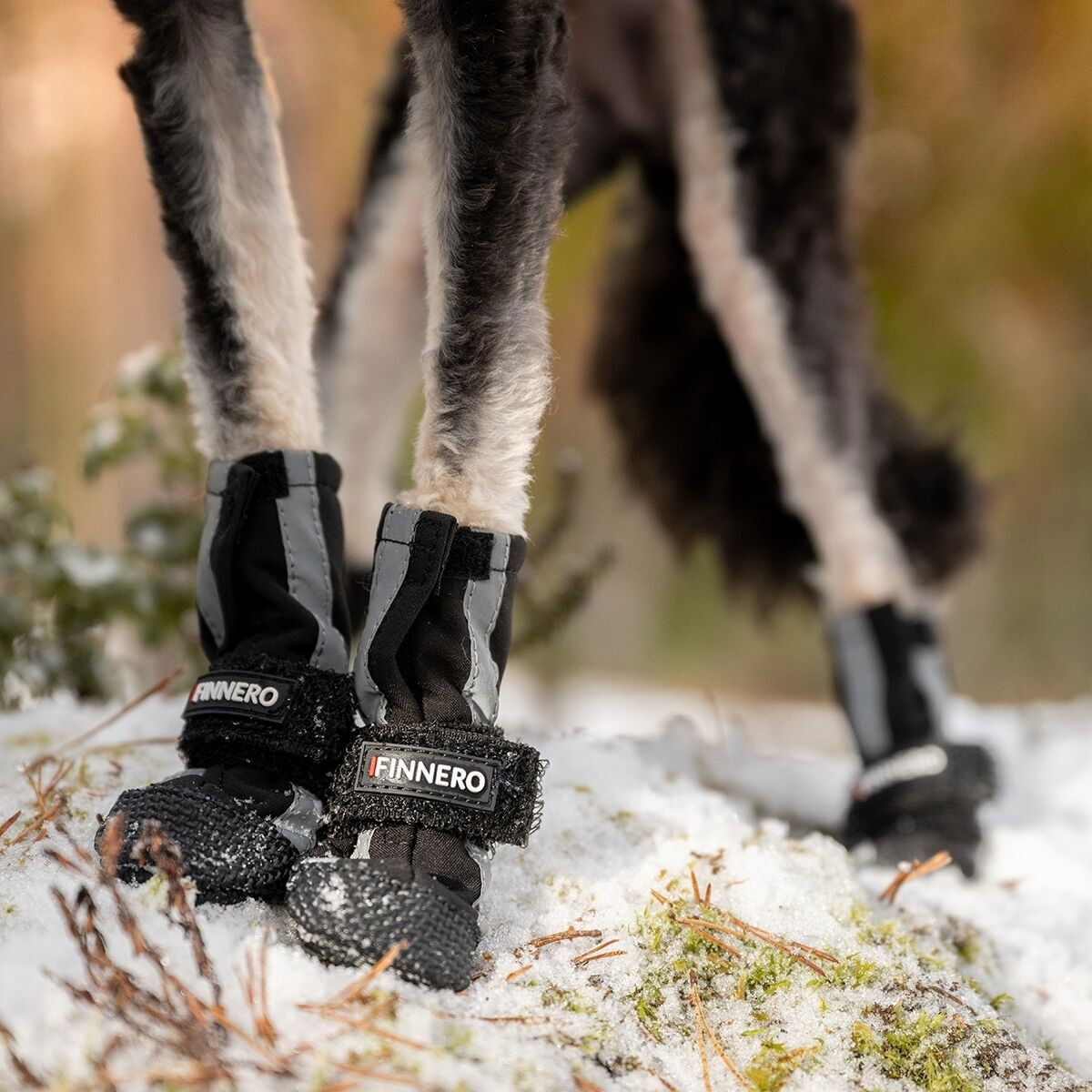 Finnero HALLA Softshell Booties 4pcs, black