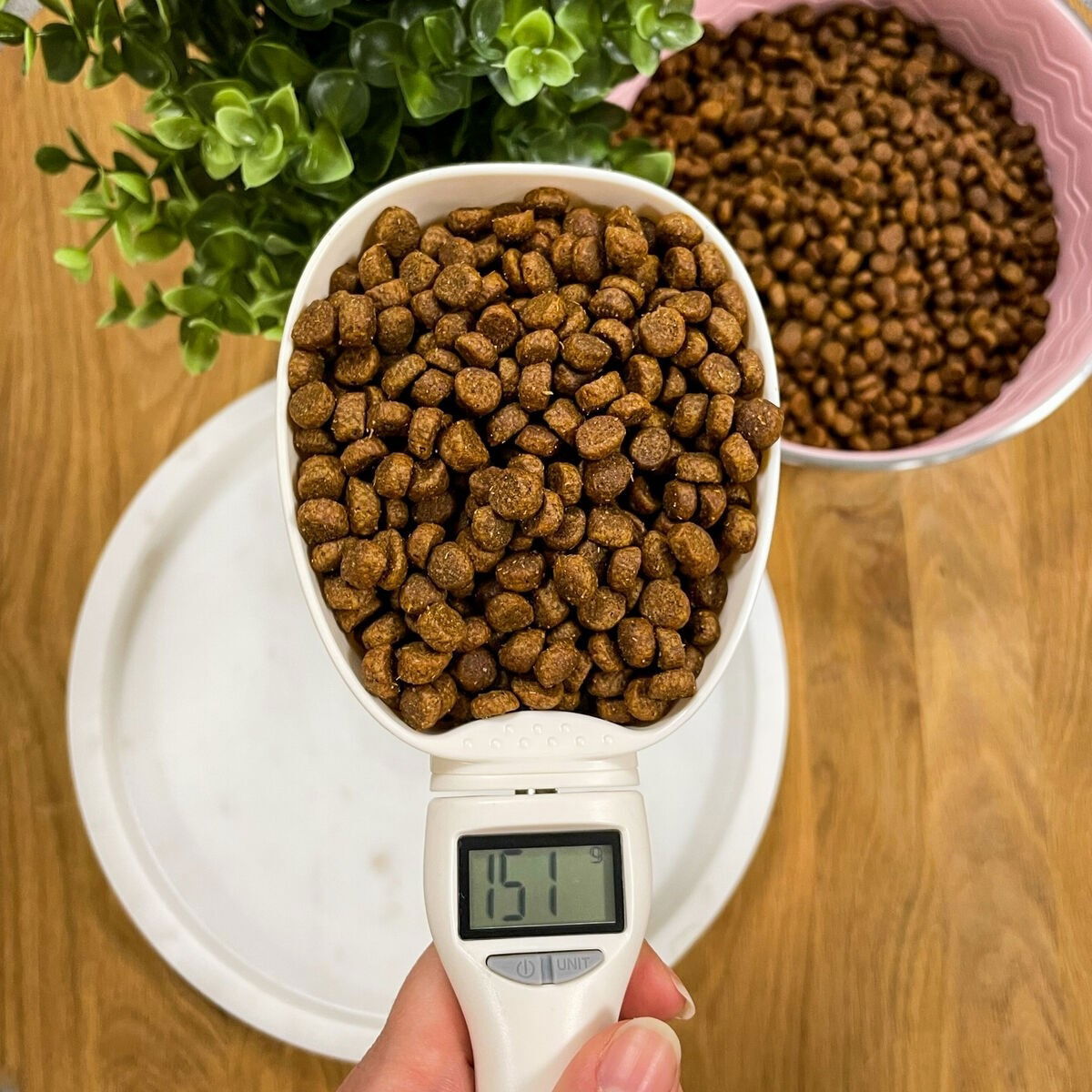 Basic Food scoop with scale