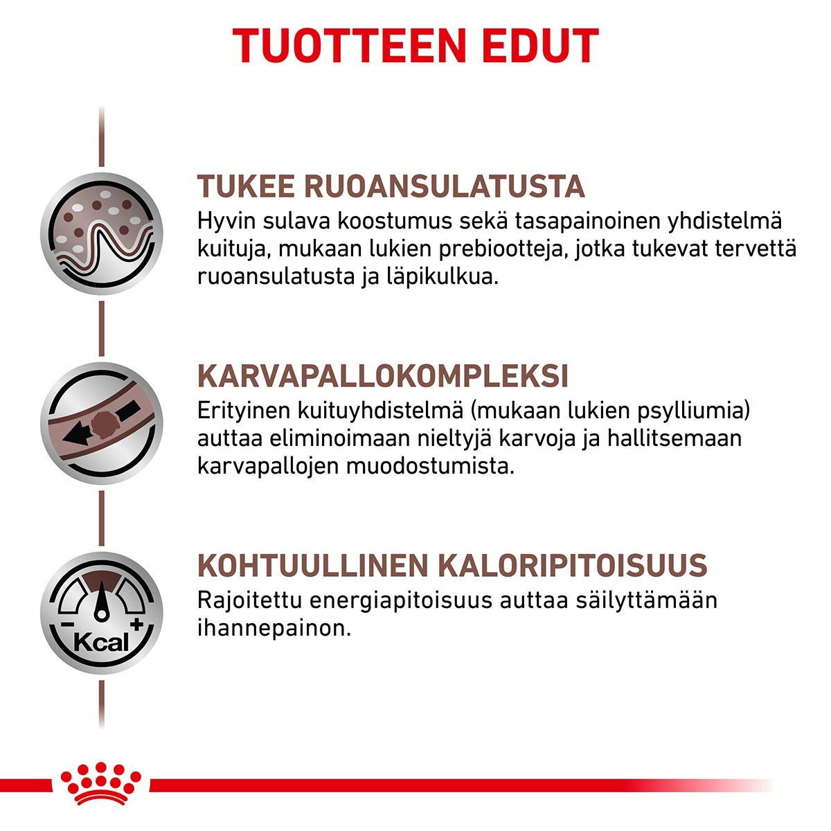 Royal Canin Veterinary Diets Gastrointestinal Hairball kissan kuivaruoka