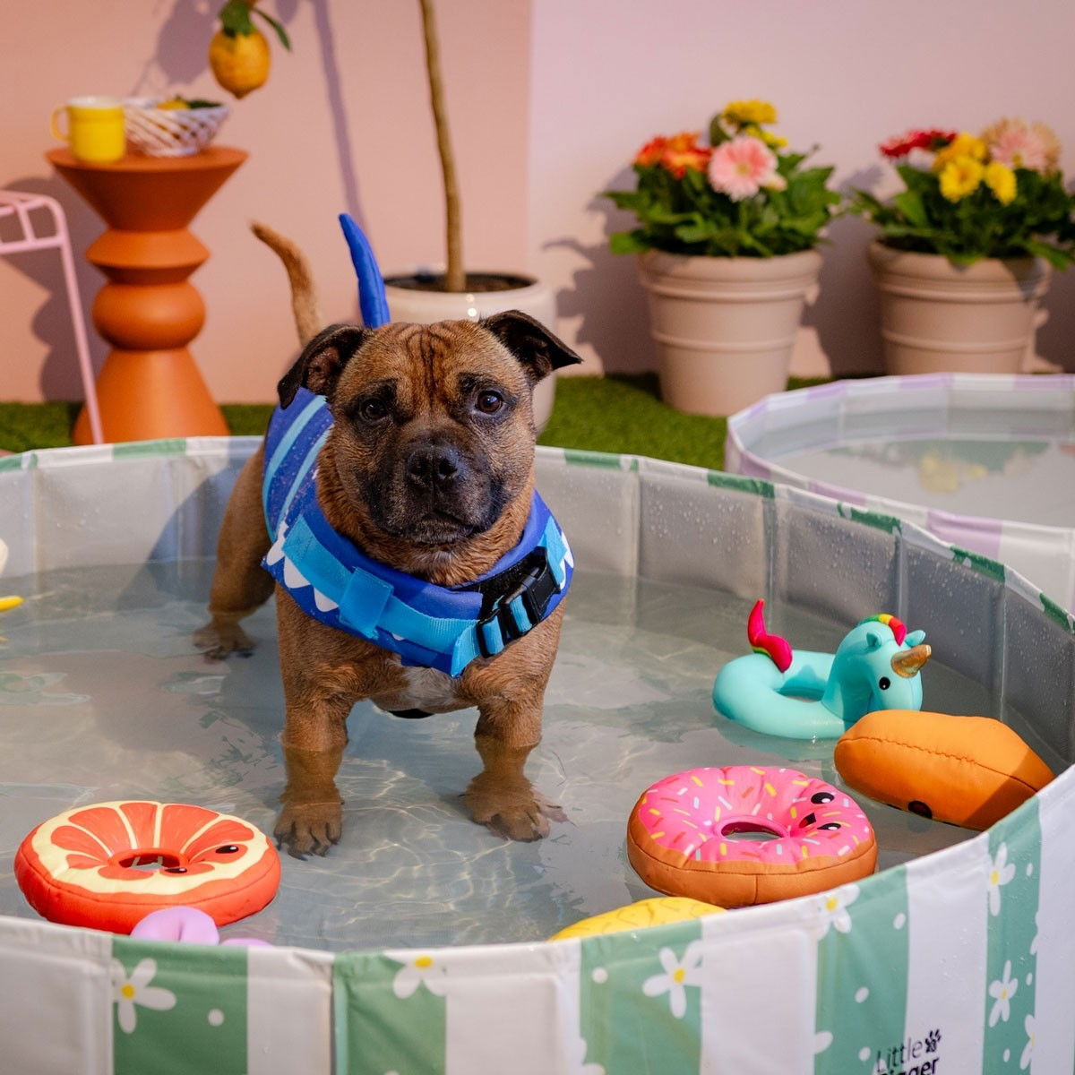 Little&Bigger HotSummer koiran uima-allas päivänkakkarakuviollinen vihreä 120 cm