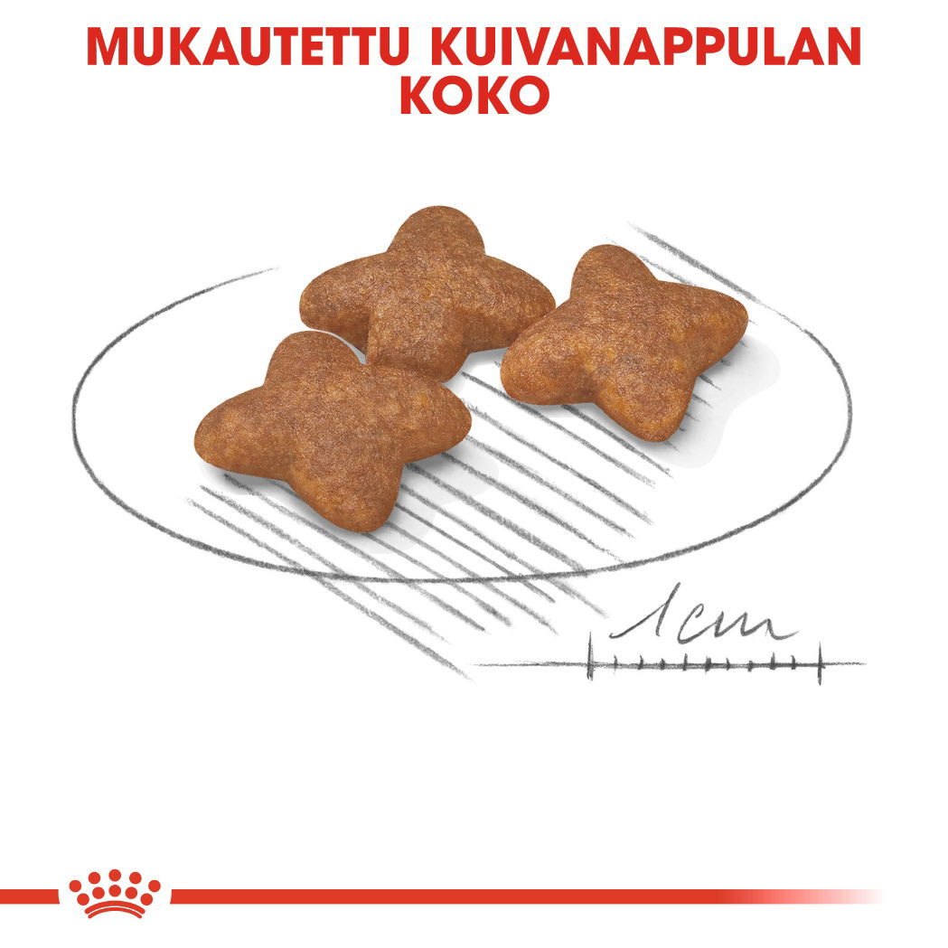 Royal Canin Mini Adult koiran kuivaruoka
