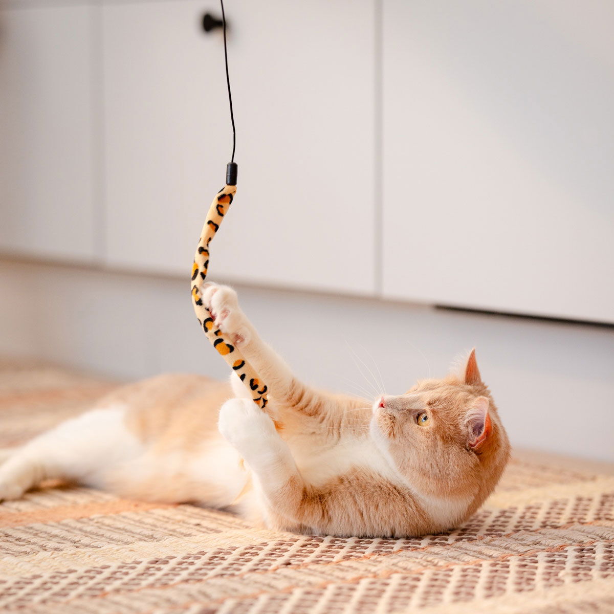 Little&Bigger PurePurr Animal onki & 5 lelua