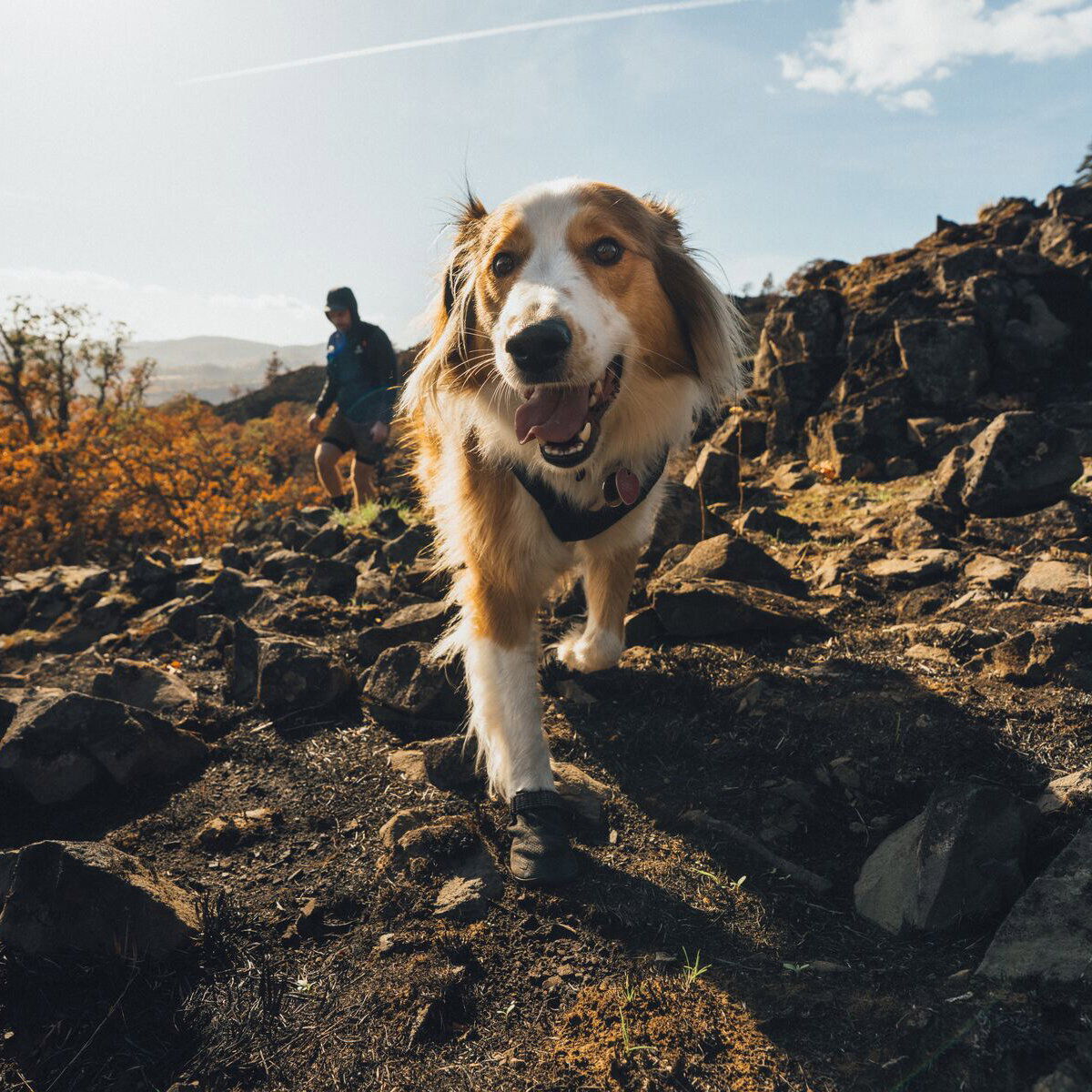 Ruffwear Ridgeline Shoes Obsidian Black