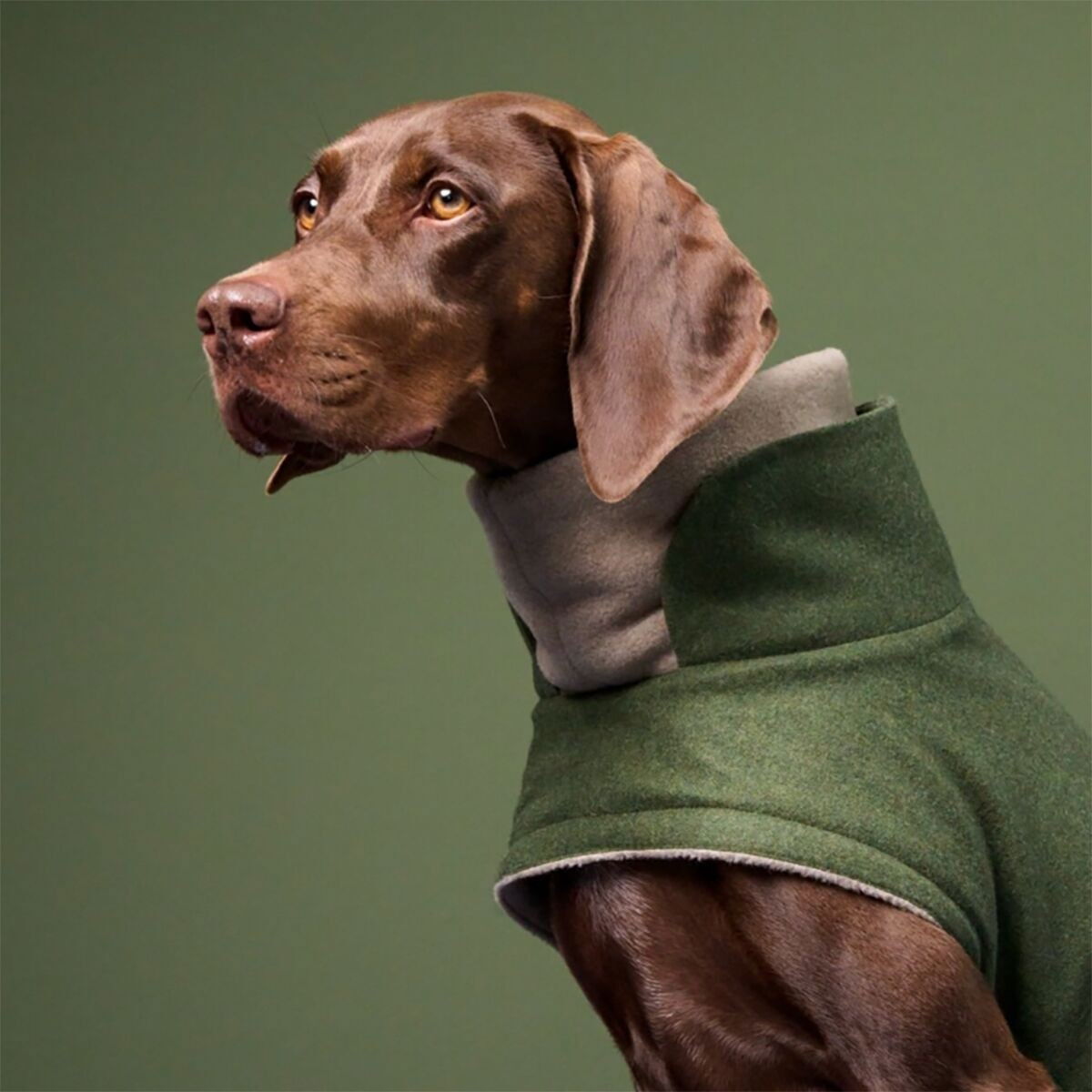 Cloud7 Brooklyn Flannel, Fern Green