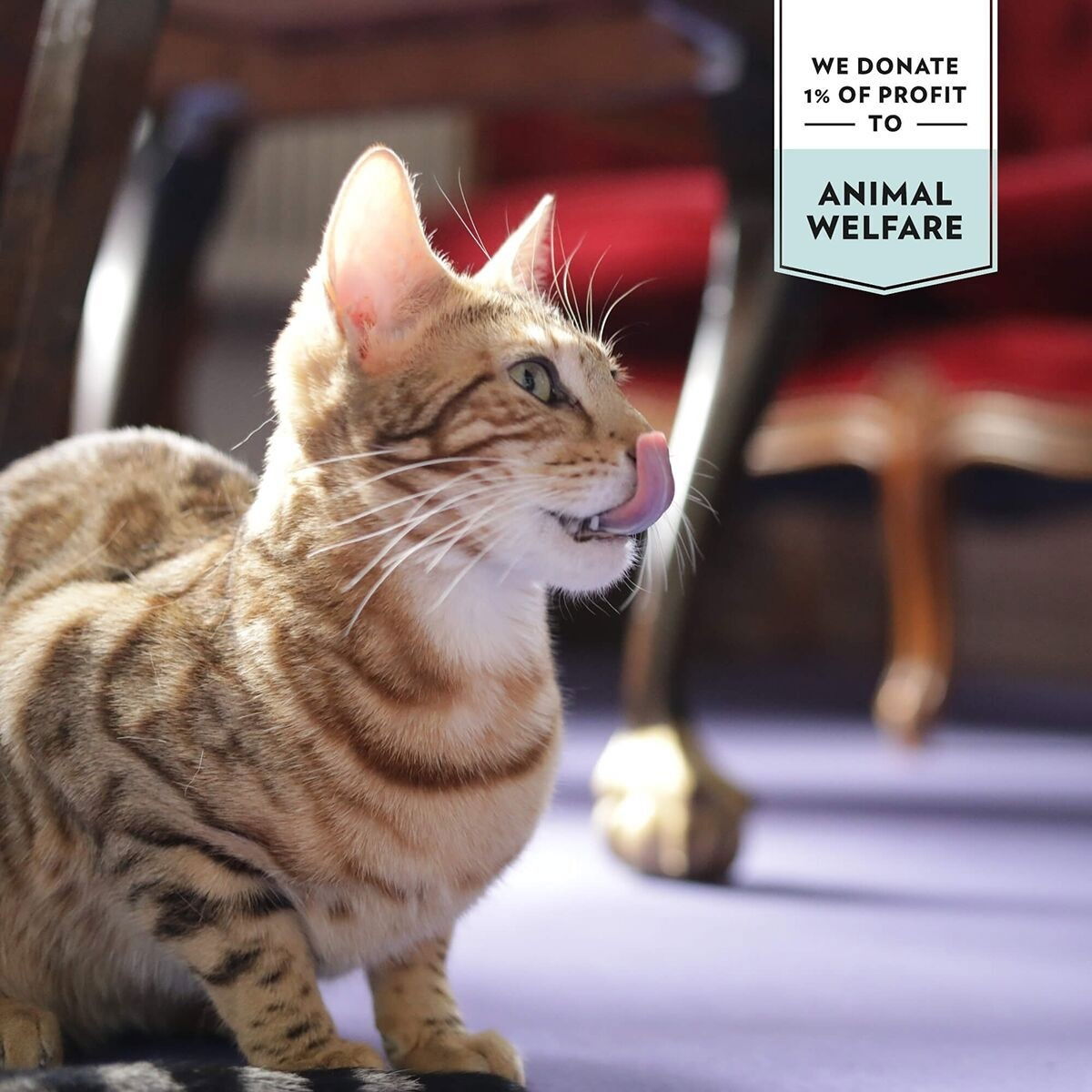 Prima Cat Saftig Tonfisk