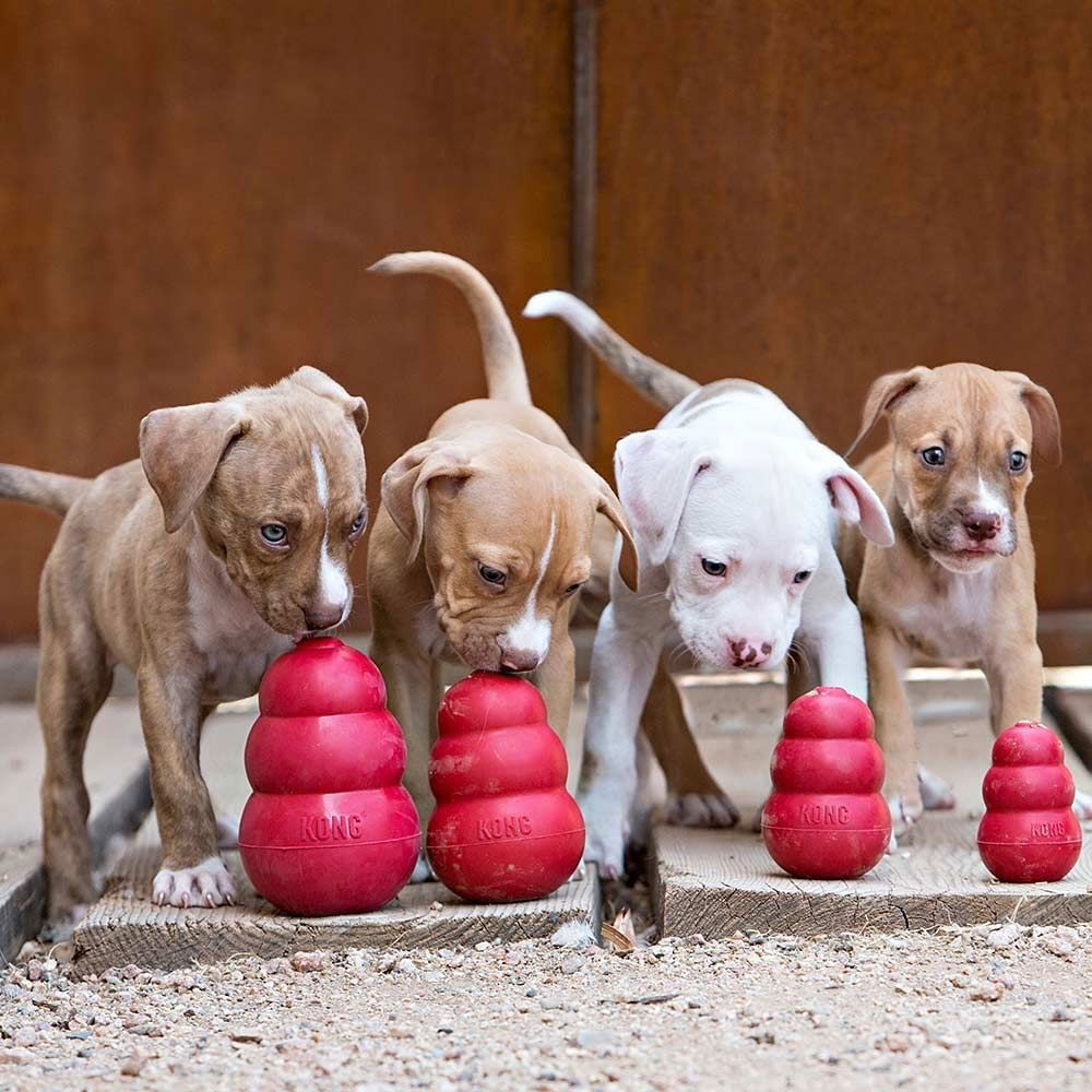 KONG Classic punainen