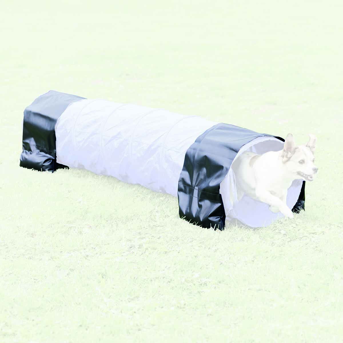 Painopussit tunneliin mini, Trixie