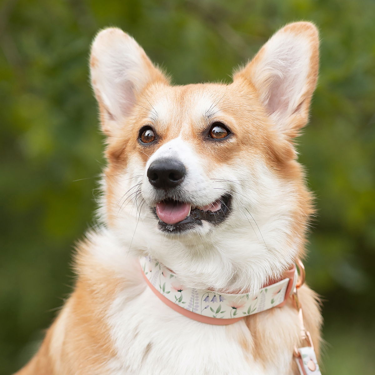 Tyylivoitto collar extender, peach