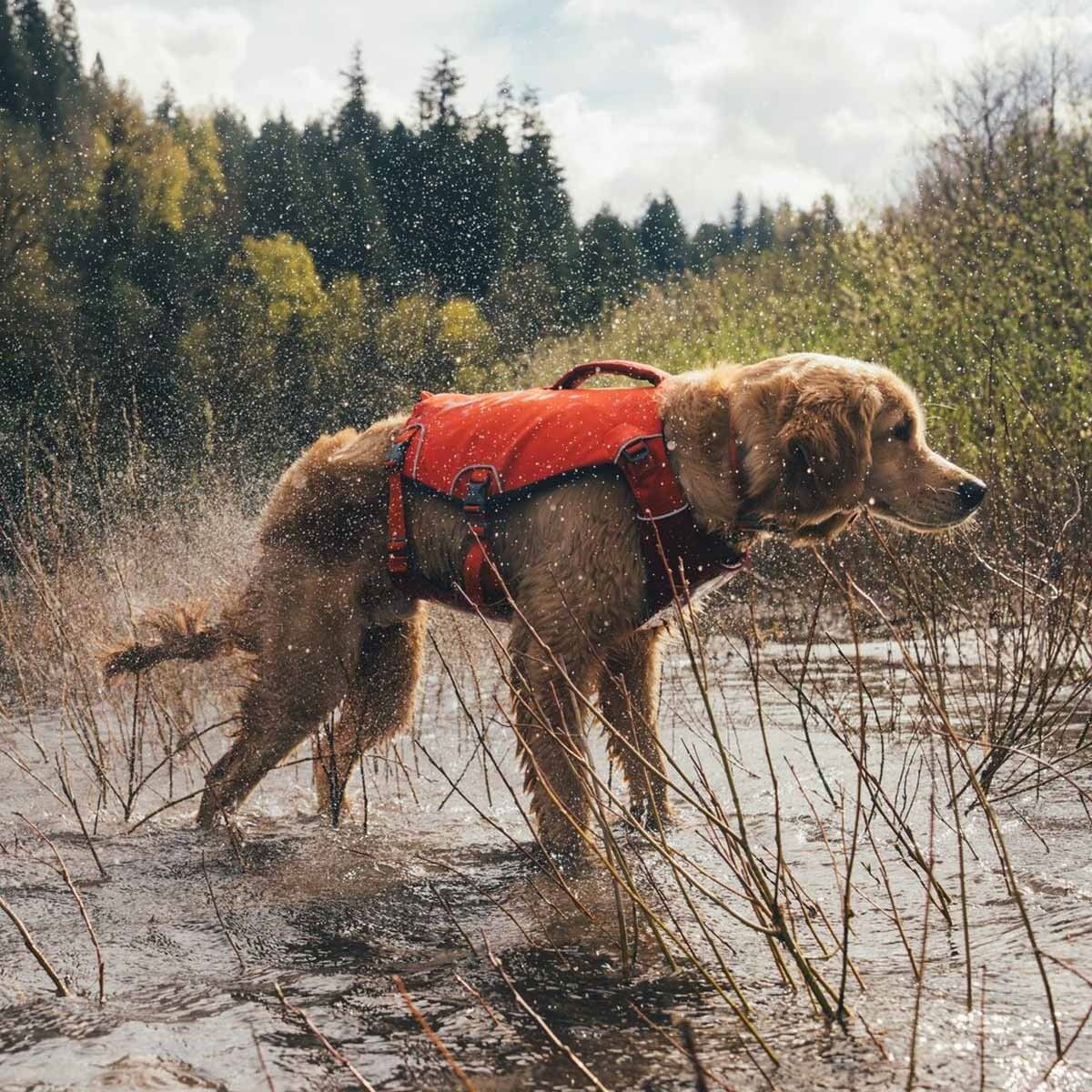 Ruffwear Confluence life jacket, Tangelo Orange