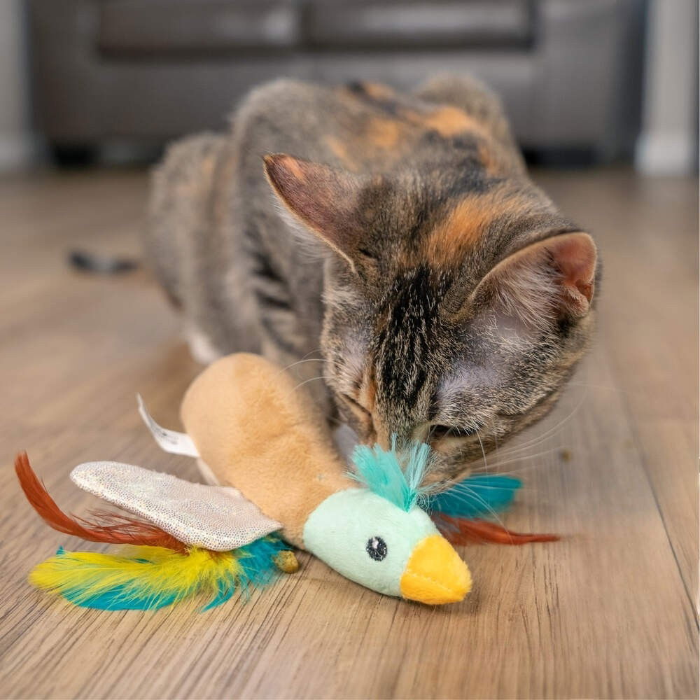 Catstages Flapperz ankka