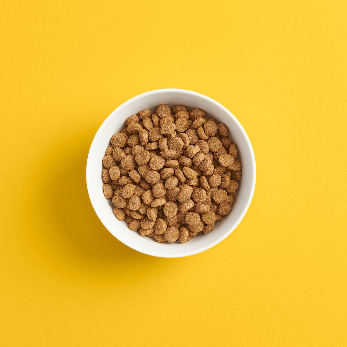 SMAAK aikuisen koiran kanaruoka