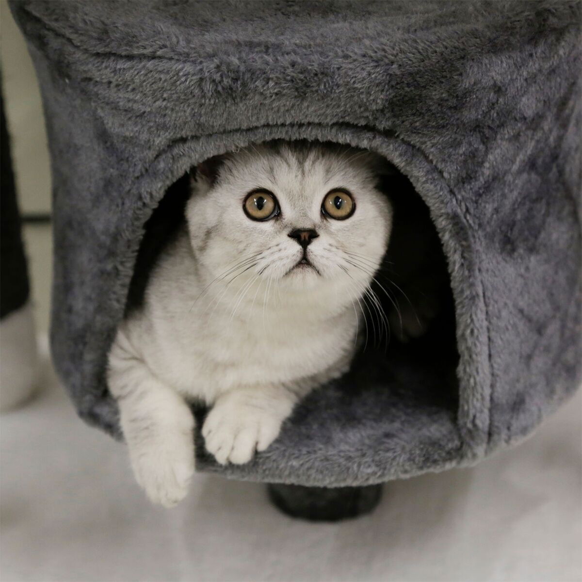 Kerbl Cat tree Jade, darklight