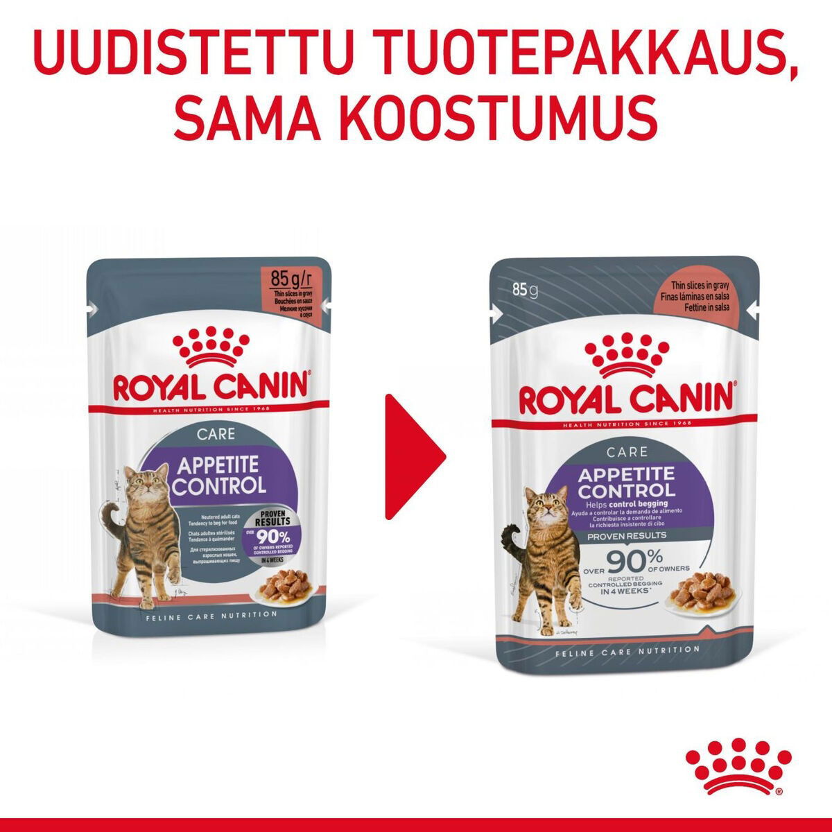 Royal Canin Appetite Control Care kissan märkäruoka kastikkeessa