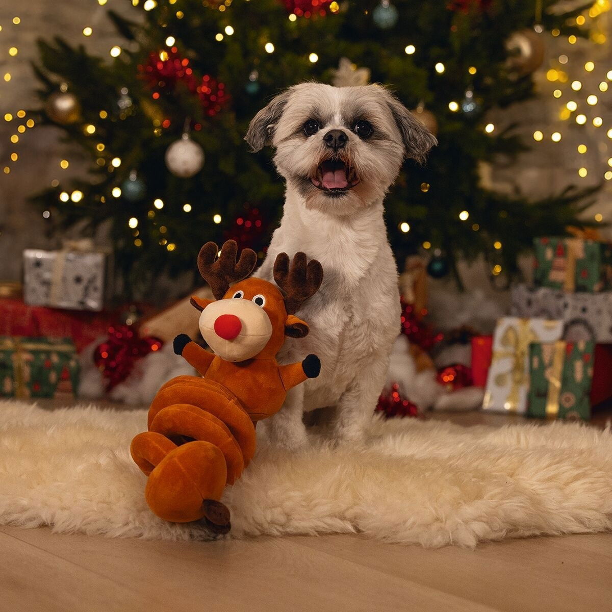 Beeztees Reindeer Spiral