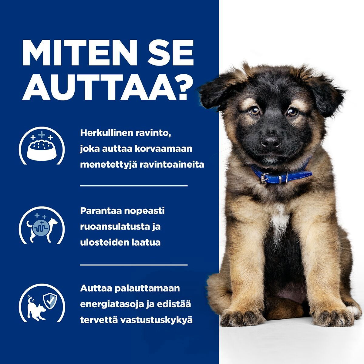 Hill's Prescription Diet Puppy i/d