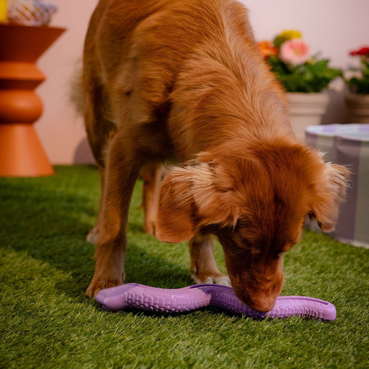 Little&Bigger TPR Snake käärme lila S