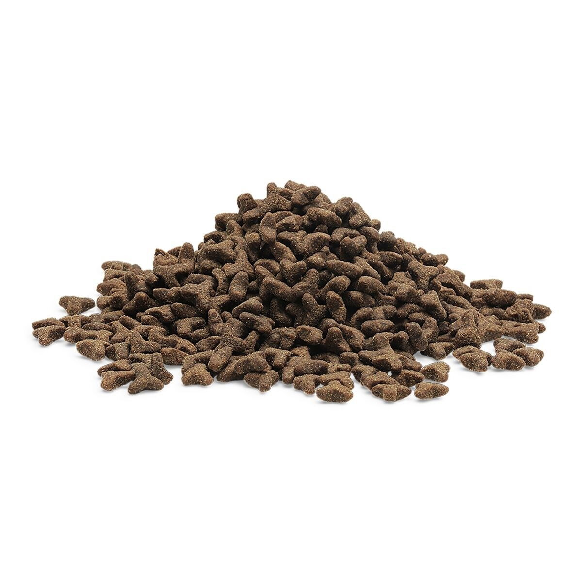 ESSENTIAL The LITTLE LION