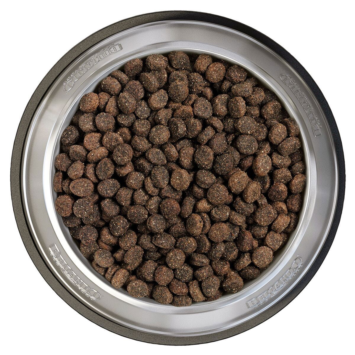 Belcando baseline Joker GF