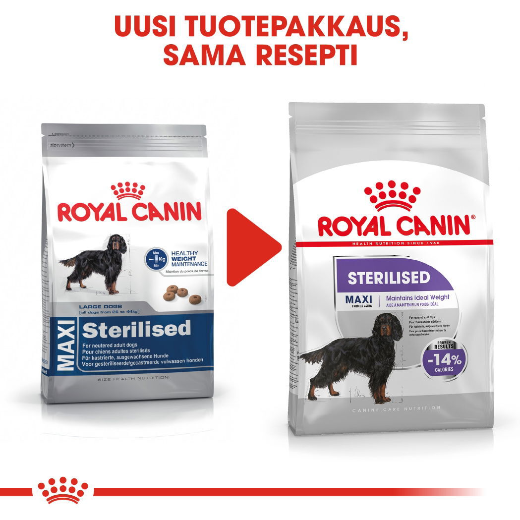 Royal Canin Sterilised Maxi Adult koiran kuivaruoka