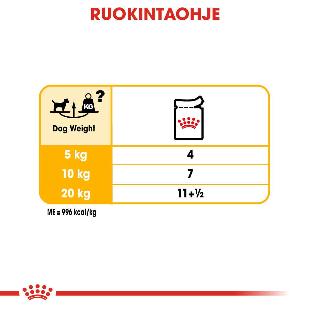 Royal Canin Dermacomfort Adult Loaf koiran märkäruoka