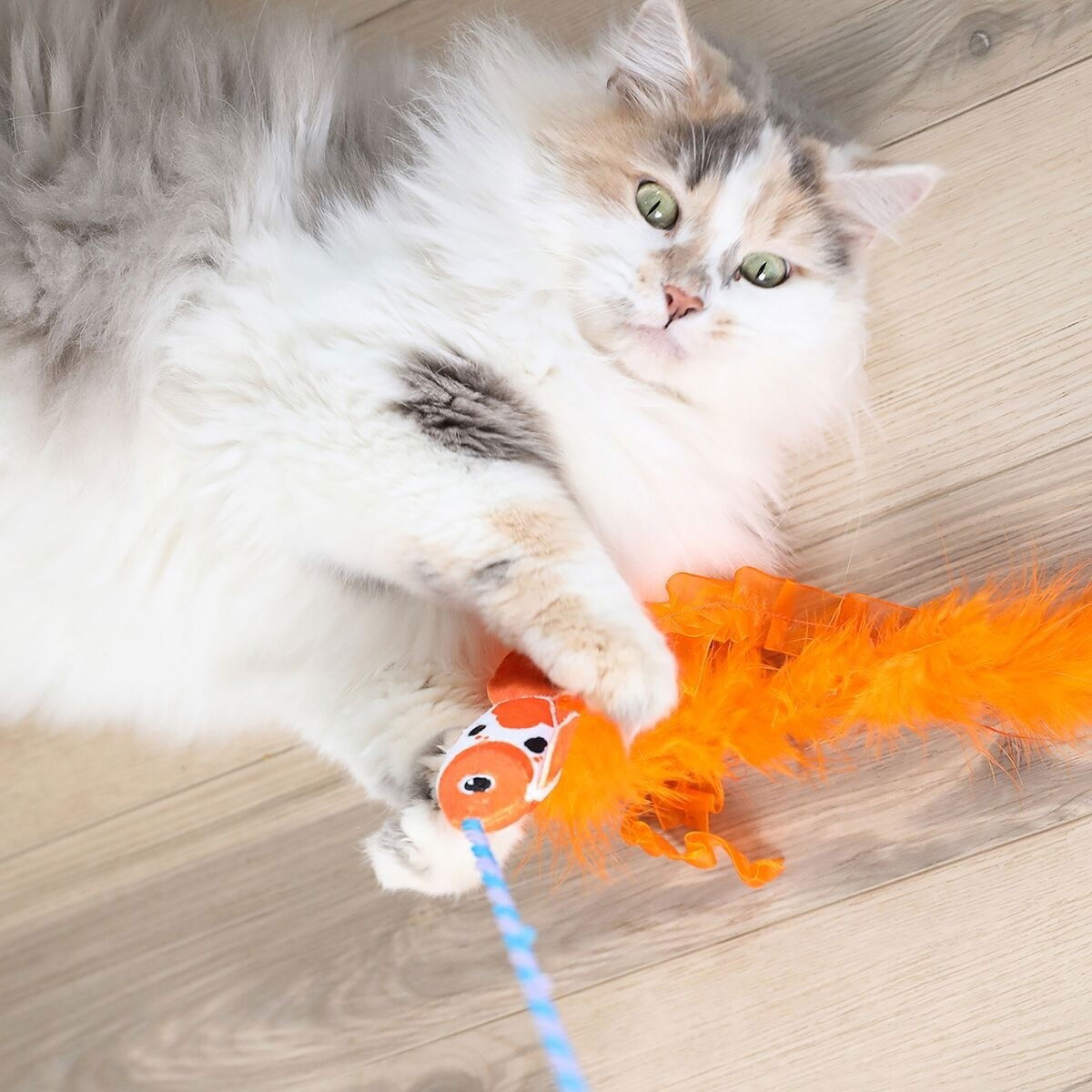 Quirky Kitty CUTE KOI WAND