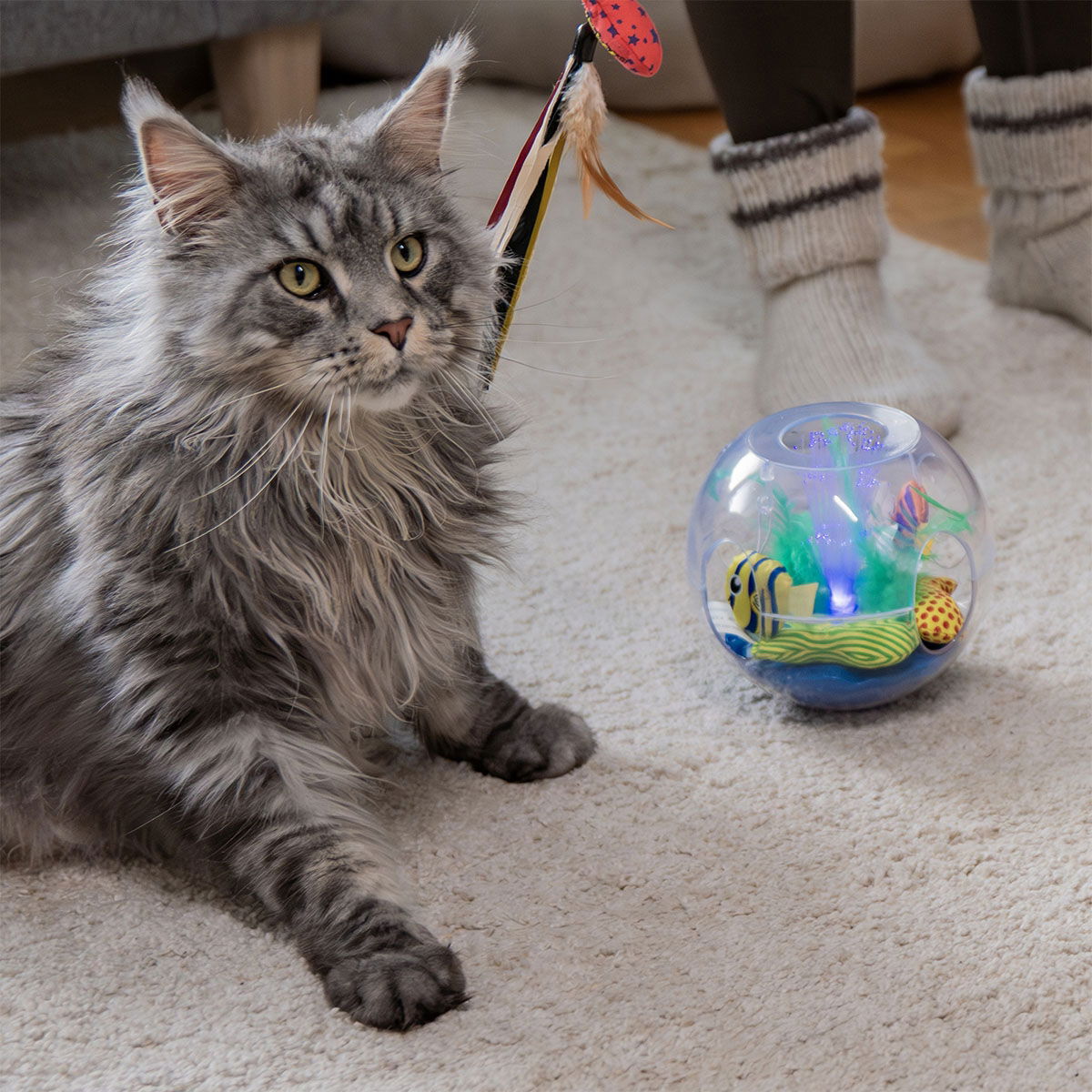 KONG Bat-A-Bout Glow Aquarium