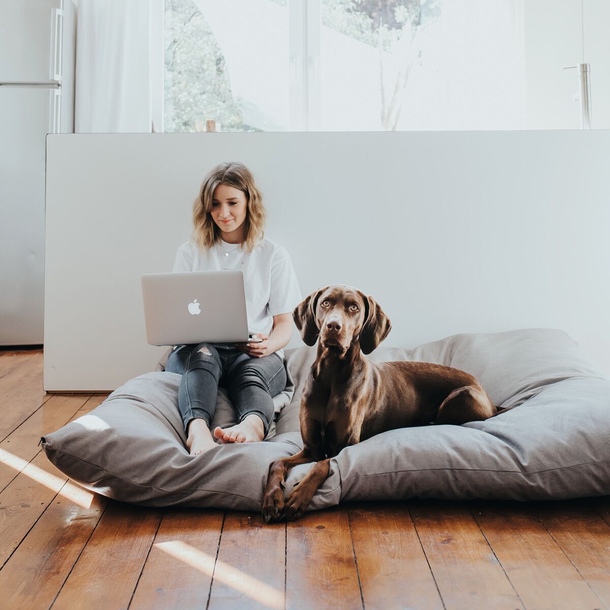 Hunter Dog Bed Lancaster Grey