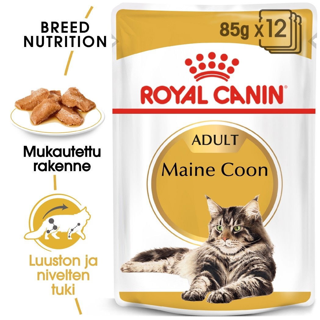 Royal Canin Maine Coon Adult Gravy kissan märkäruoka