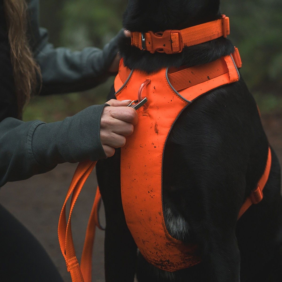 Ruffwear Front Range valjas Blaze Orange