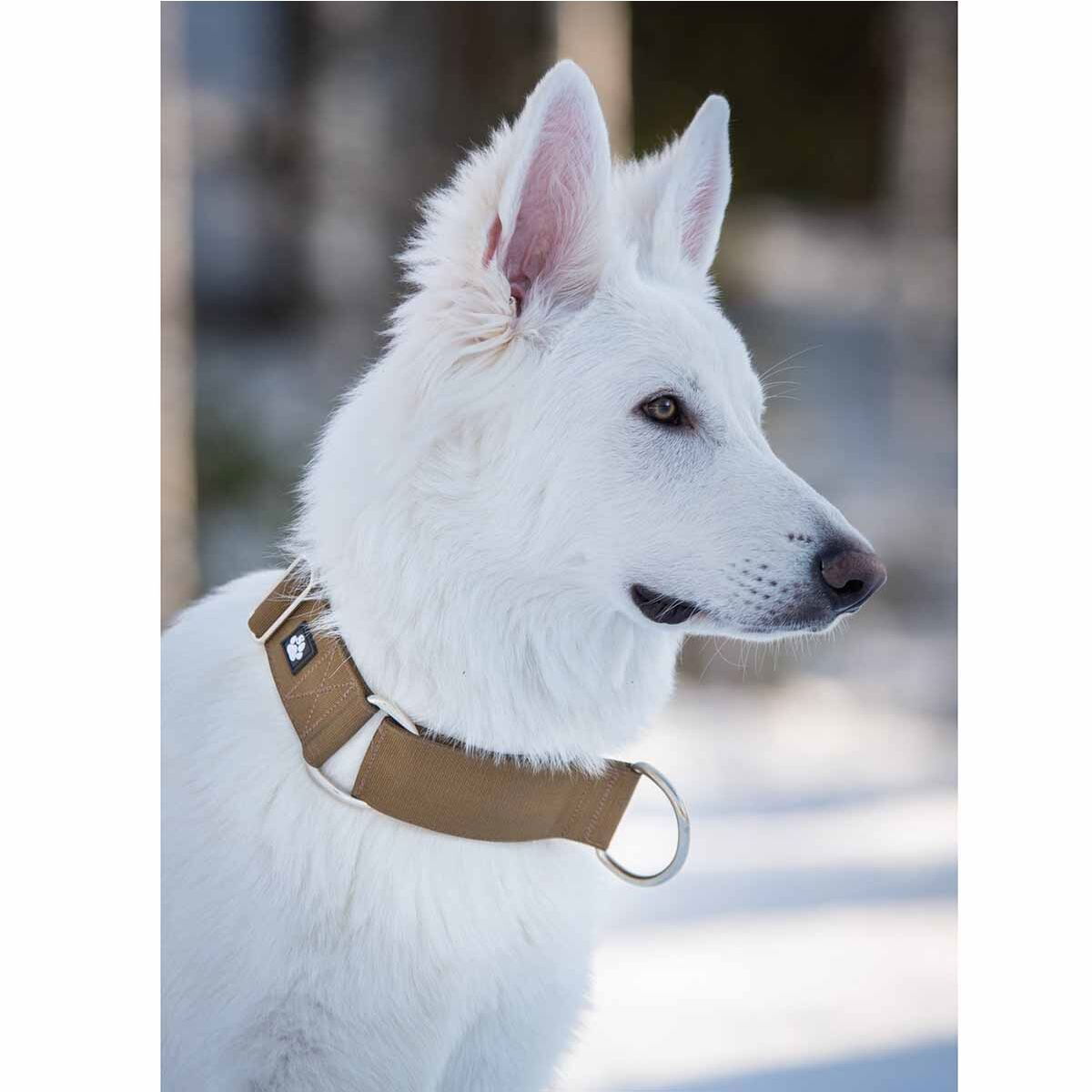 Salmiakkitassu hc-collar coyote 4x35-60cm