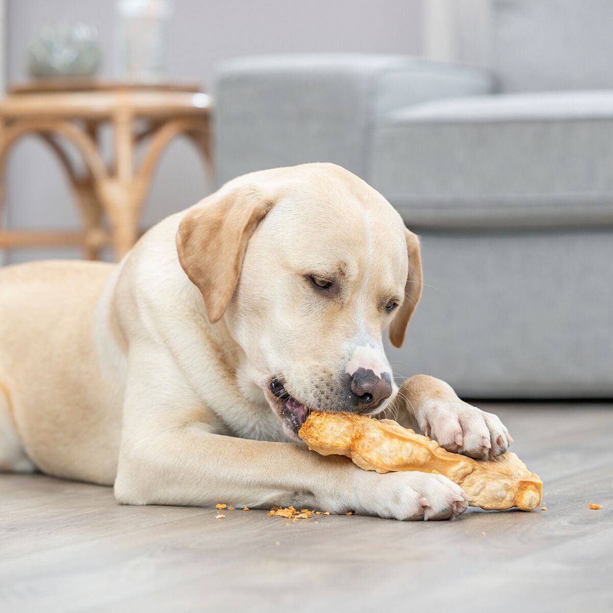Trixie Chewing Cheese
