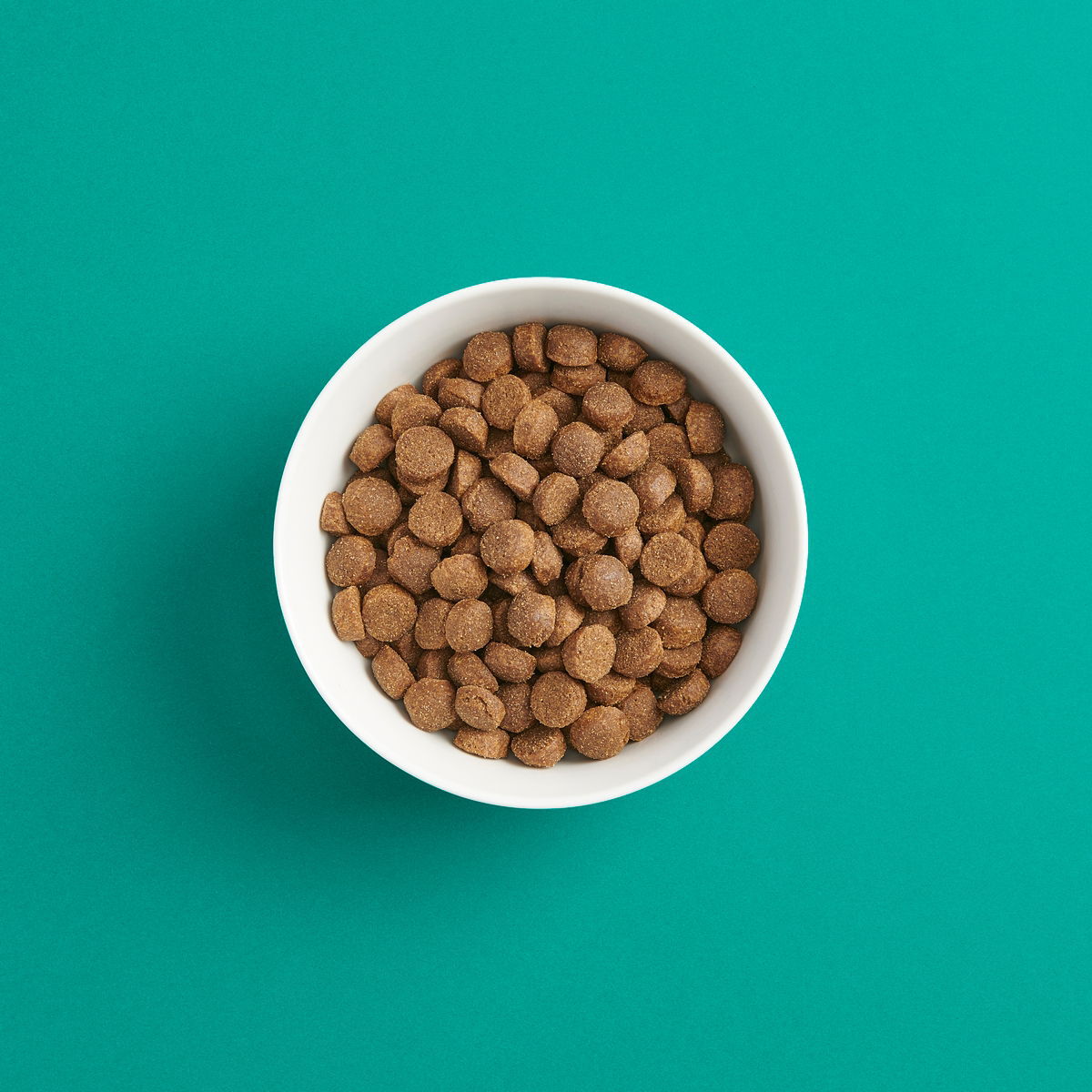 Smaak kana aktiiviselle aikuiselle koiralle